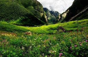 valley of flower